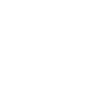 Security Division